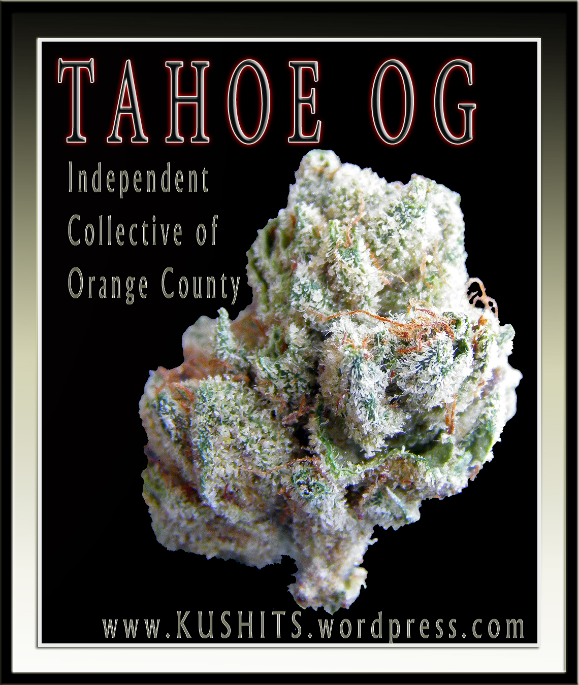tahoe-og-kush-icoc-2.jpg